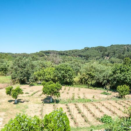 Vassilis Paradise Garden Aparthotel Agios Georgios Pagon Exterior photo