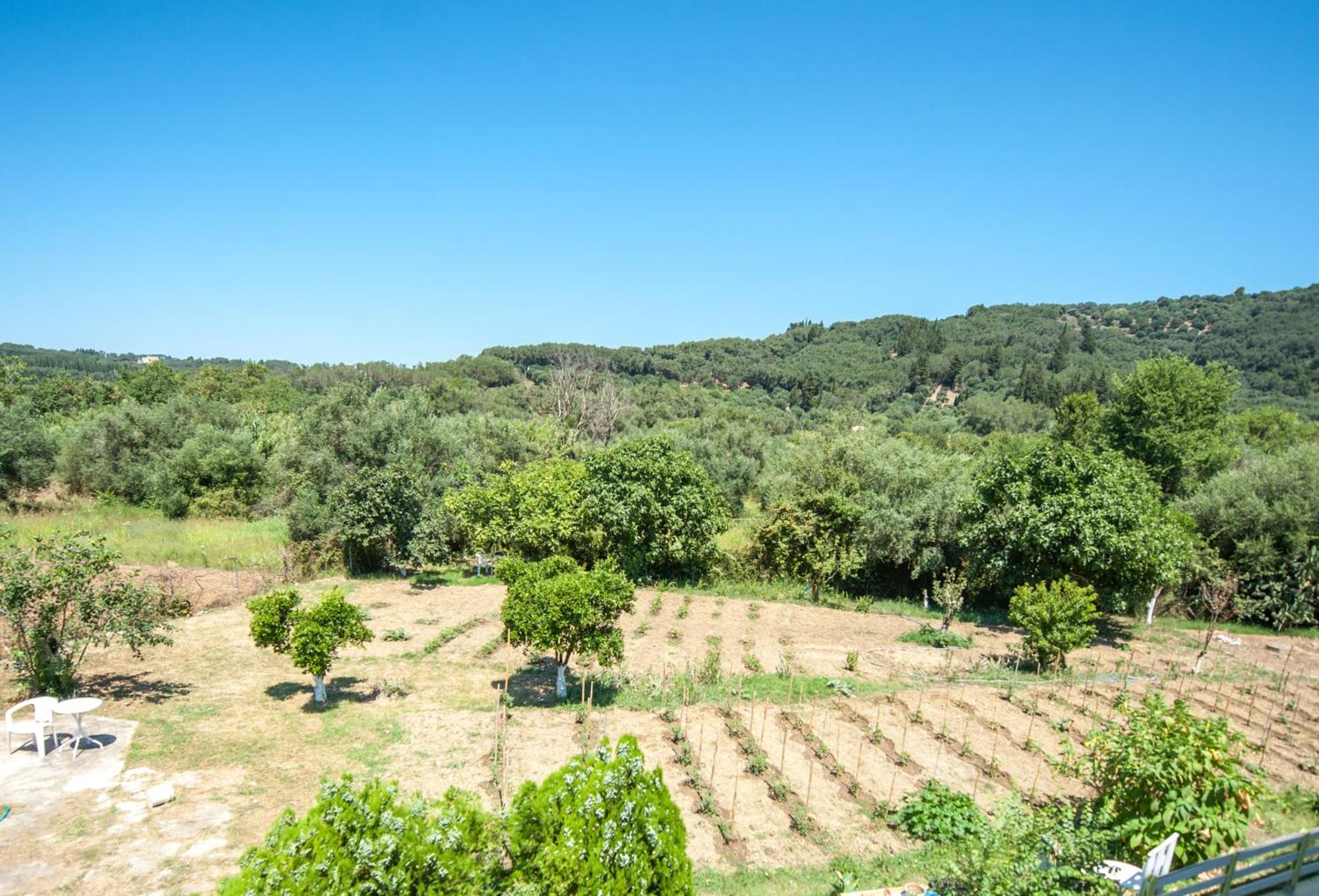 Vassilis Paradise Garden Aparthotel Agios Georgios Pagon Exterior photo